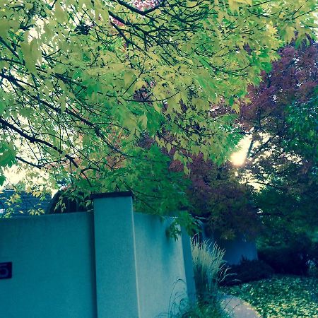 Like Home But Better! A Boulder Favorite!! エクステリア 写真